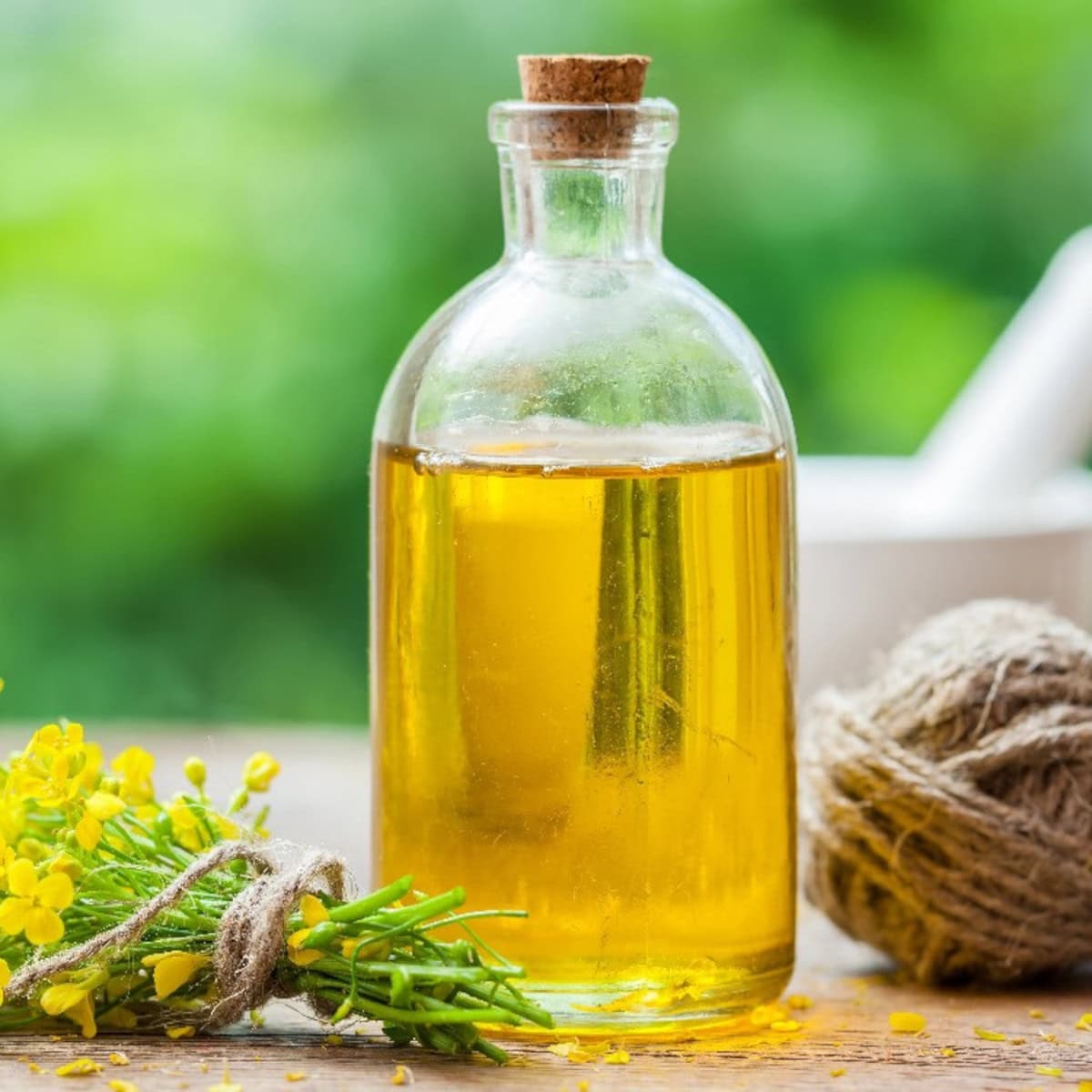 Canola oil in a bottle with yellow canola flowers, a high smoke point oil for stir frying.