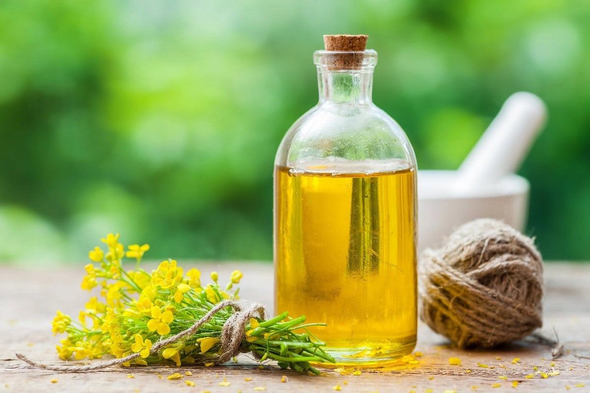 Canola oil in a glass bottle with yellow canola flowers, a high smoke point oil for stir frying.