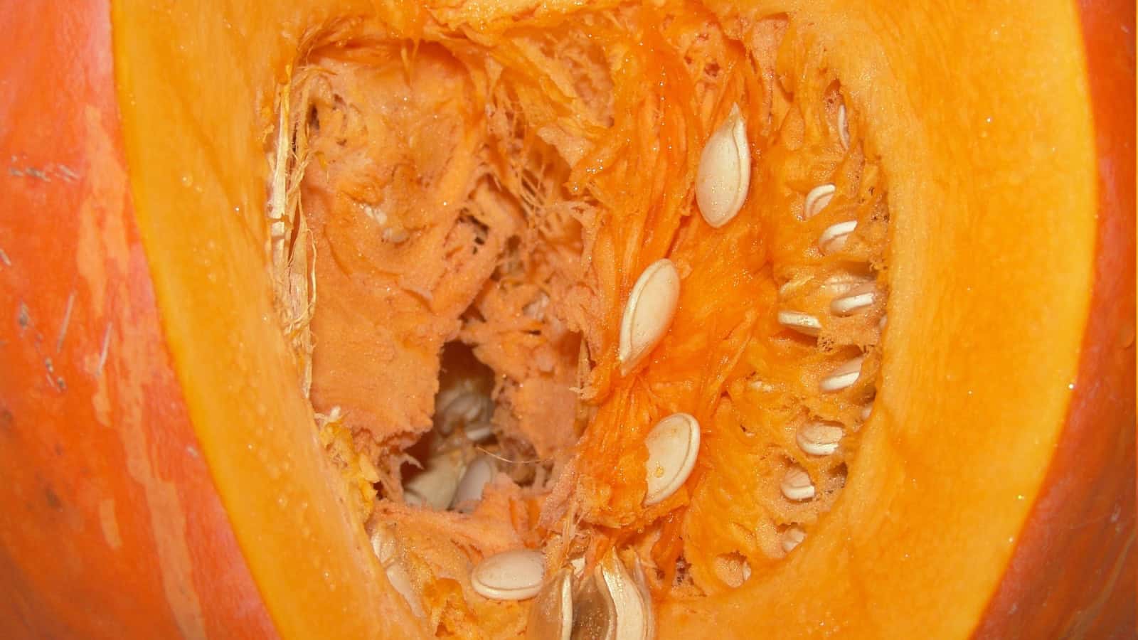 Cut-open pumpkin showing seeds and fibrous pulp inside.