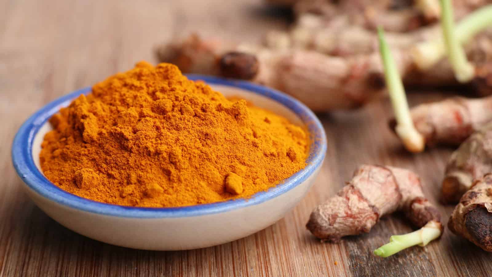 Ground turmeric in a bowl with fresh turmeric roots.